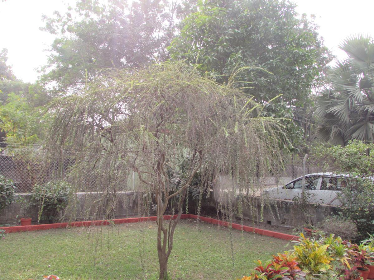 Aayesh Bed & Breakfast Shānti Niketan Exterior photo